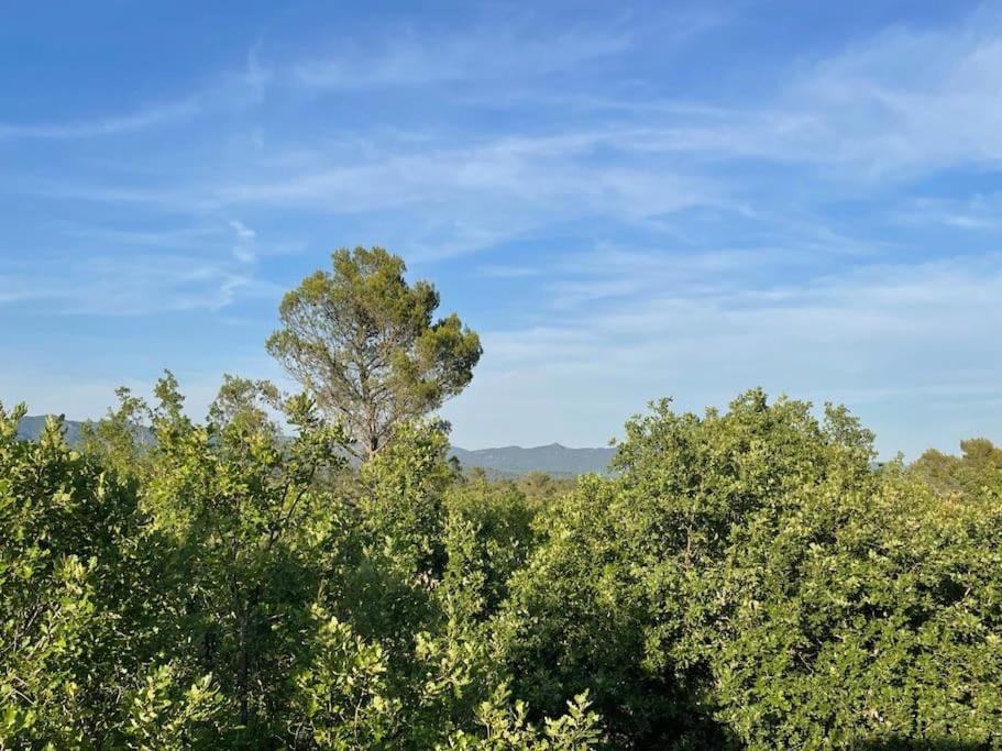 Régusse Villa Piscine - Gorges Du Verdon, Lac De Sainte-Croix מראה חיצוני תמונה