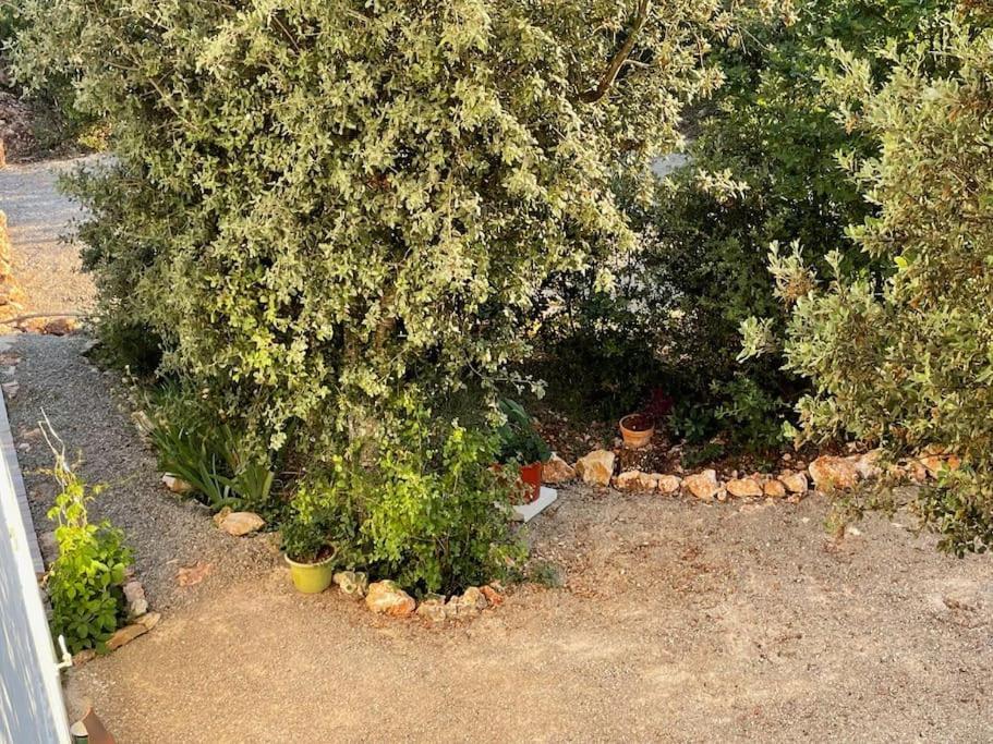Régusse Villa Piscine - Gorges Du Verdon, Lac De Sainte-Croix מראה חיצוני תמונה