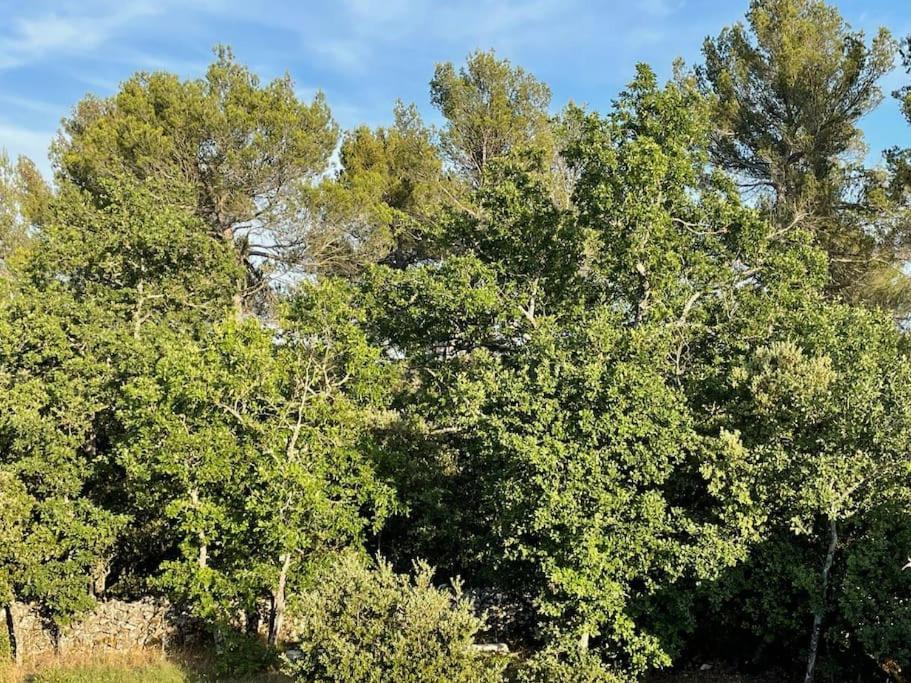 Régusse Villa Piscine - Gorges Du Verdon, Lac De Sainte-Croix מראה חיצוני תמונה